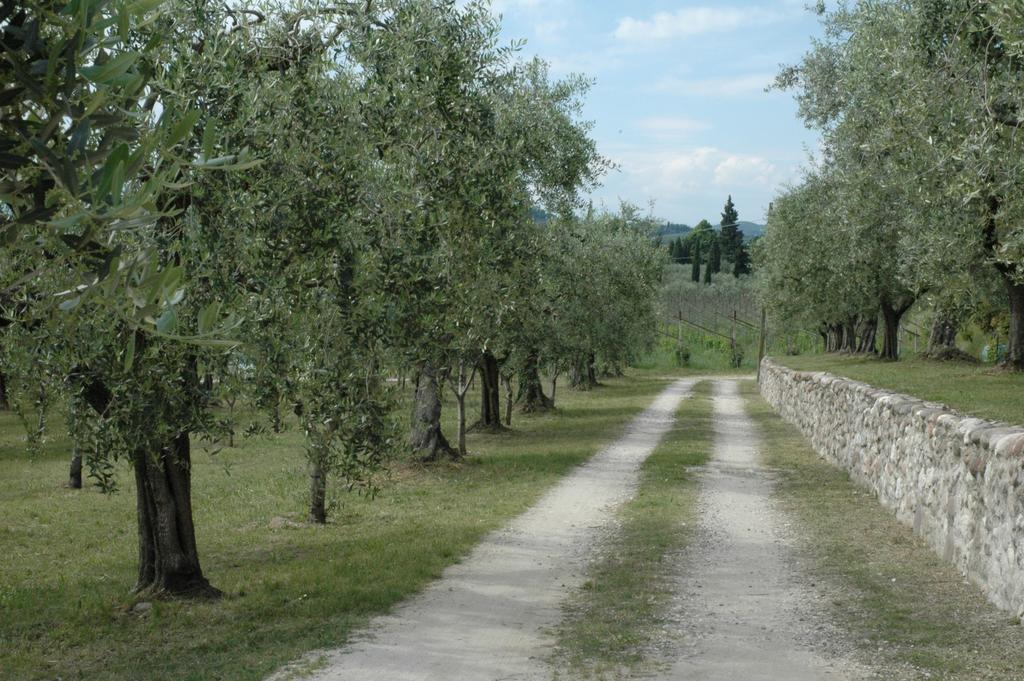Agriturismo Tenuta La Pergola Bardolino Ngoại thất bức ảnh