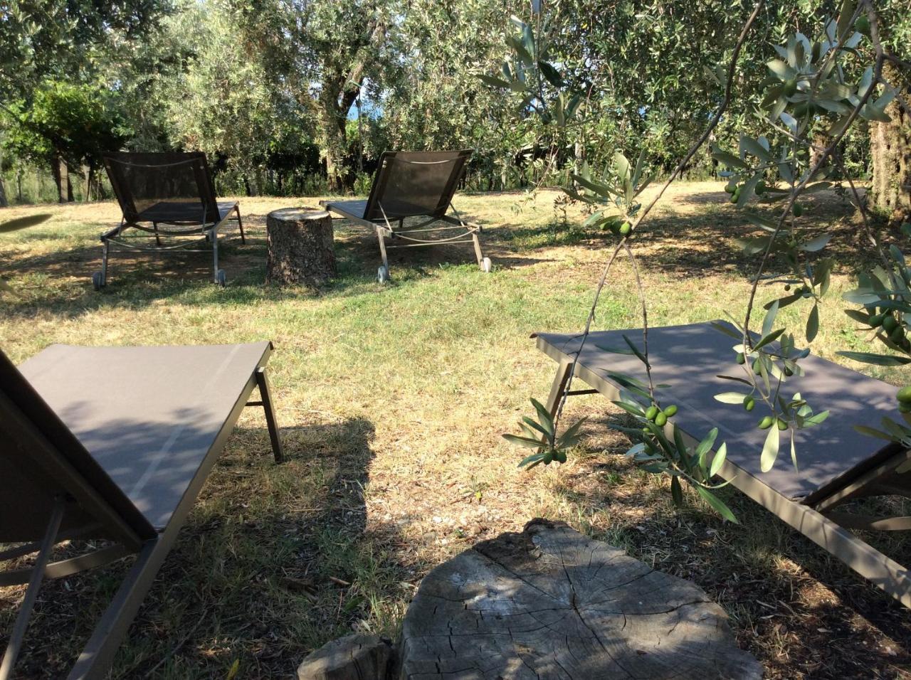 Agriturismo Tenuta La Pergola Bardolino Ngoại thất bức ảnh